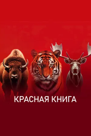 Красная книга (сериал 2022)